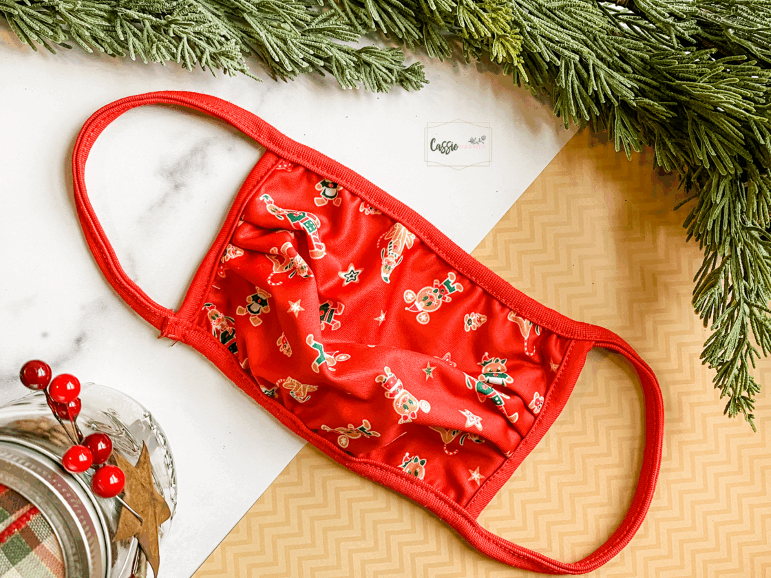 Disney Christmas Mask Disney Christmas Masks - monthly favorites - November 2020