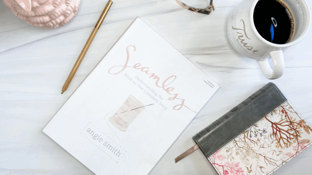 Seamless Seamless Bible Study