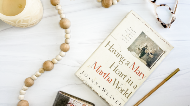 Having A Mary Heart in a Martha World book