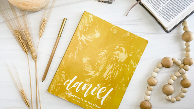 Daniel Bible Study